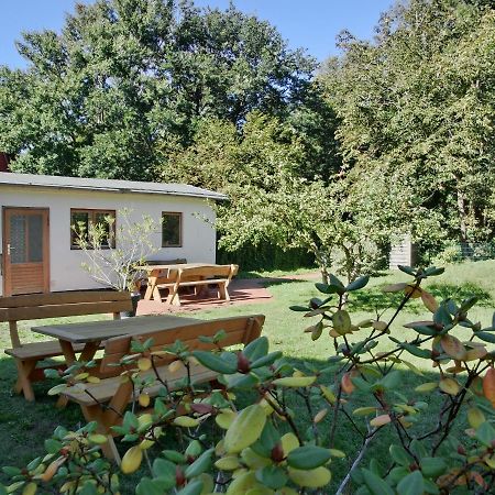 Strandstrasse 60 Ferienwohnung S12 Graal-Mueritz Exteriér fotografie